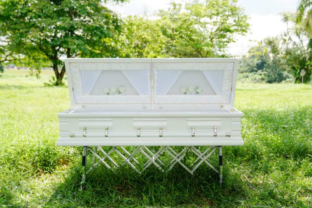 Serenity Casket FG (W) Full Glass Frontview