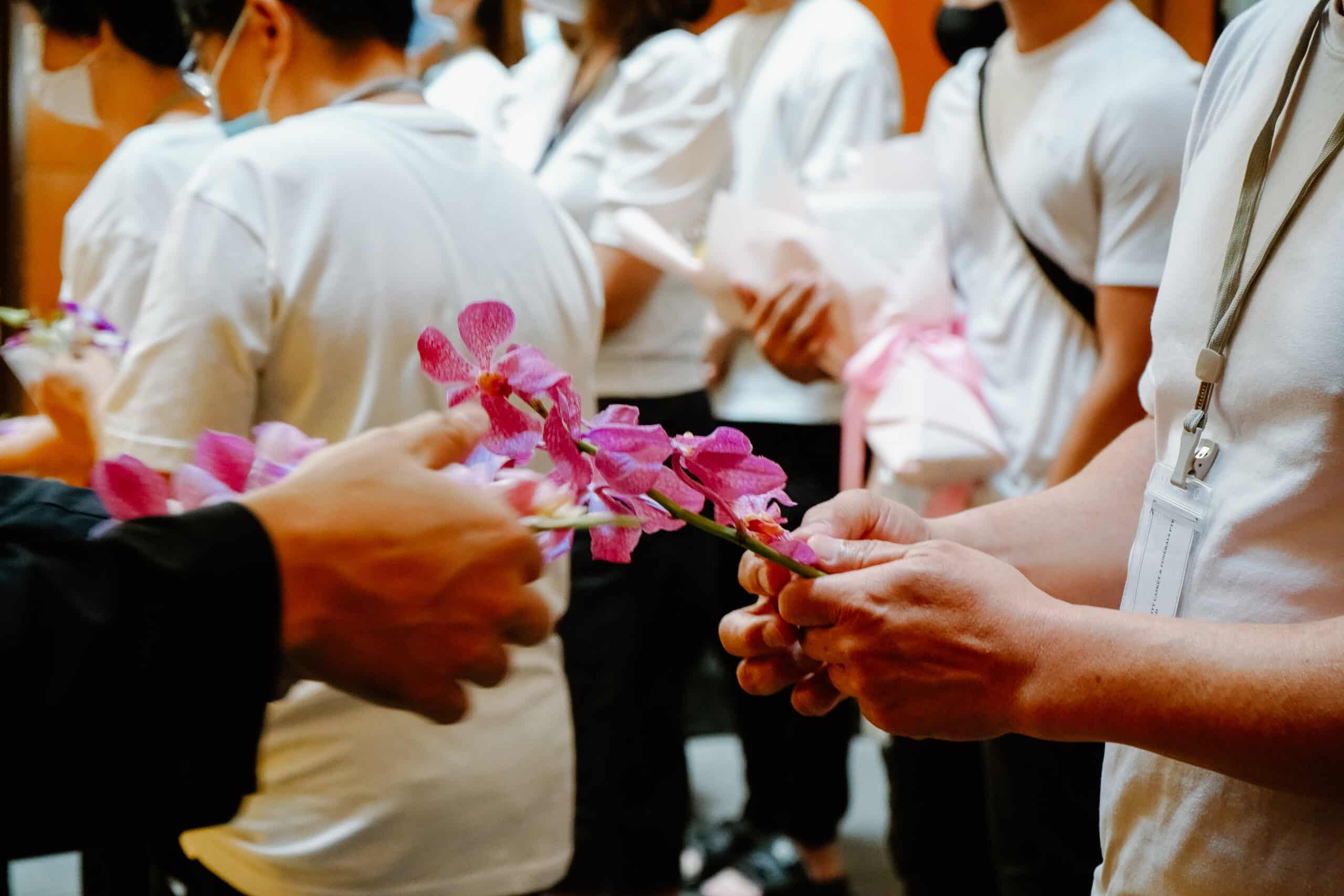 Reconnected Experience