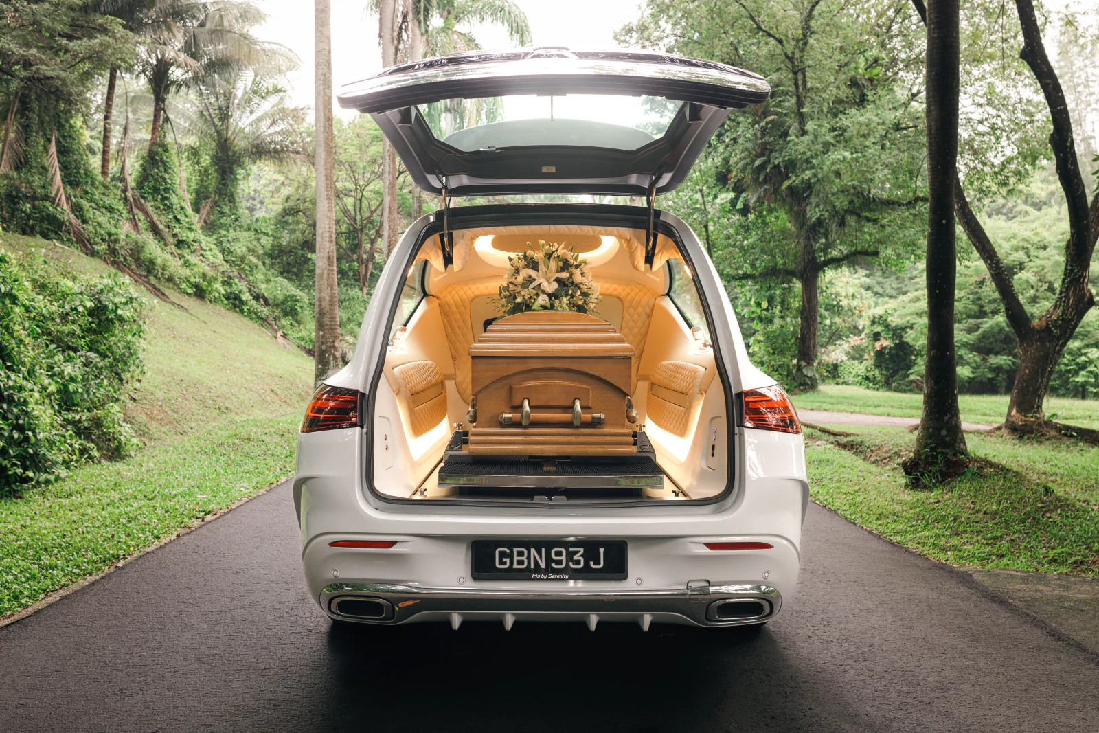 iris-iris-casket